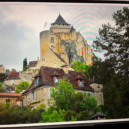 Castelnaud Vue Διαμέρισμα Εξωτερικό φωτογραφία